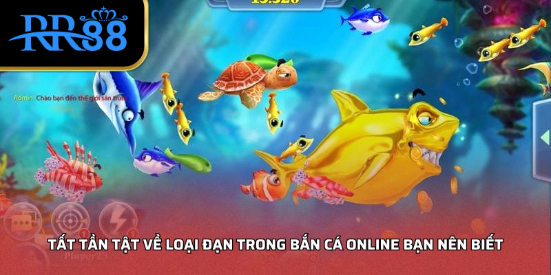 Tất tần tật về loại đạn trong bắn cá online bạn nên biết