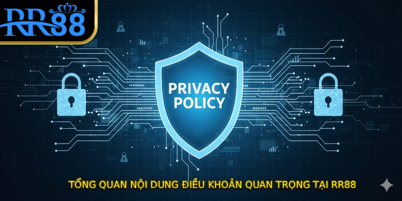 Tổng quan nội dung điều khoản quan trọng tại RR88